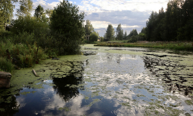 В реке Мостовице, где произошел мор рыбы, обнаружили высокое содержание щелочи