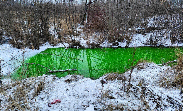 Кировские специалисты пояснили, с чем связано позеленение Люльченки