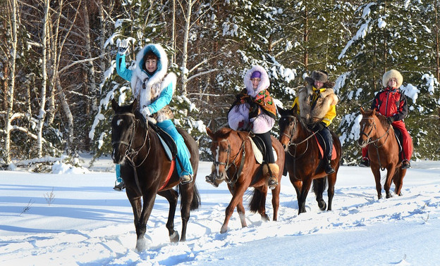 Арендатора конюшни в Порошино осудили за незаконные прогулки на лошадях