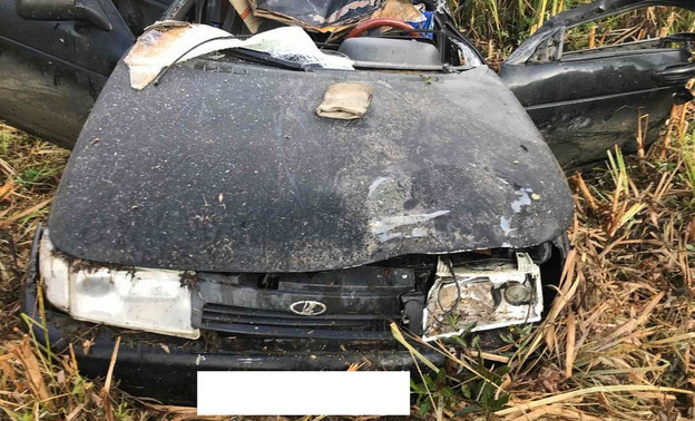 В Кировской области водитель «ВАЗа» погиб в ДТП с лосем