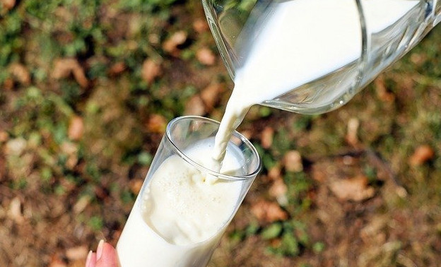 Осенью цены на молочную продукцию в России могут подняться