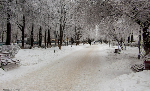 За сутки в Кирове выпадет девять сантиметров снега