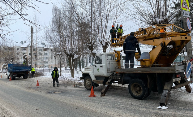 На восьми улицах Кирова обрезали деревья за неделю