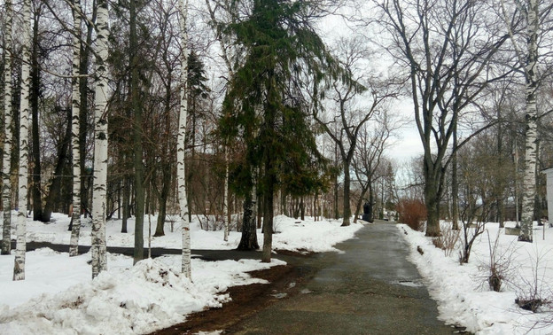 Погода в Кирове. На этой неделе потеплеет до +10