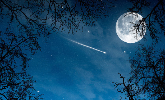 Сегодня ночью кировчане смогут увидеть комету Каталина