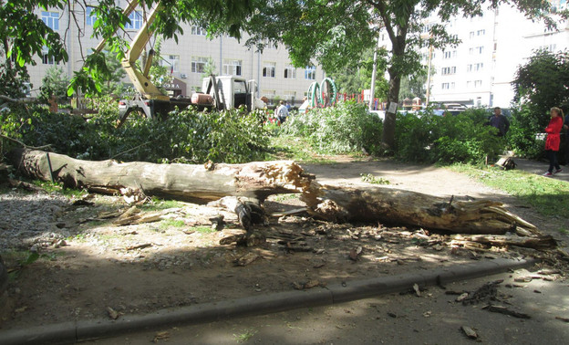 В Кирове во время уборки деревьев во дворе на Казанской погиб рабочий