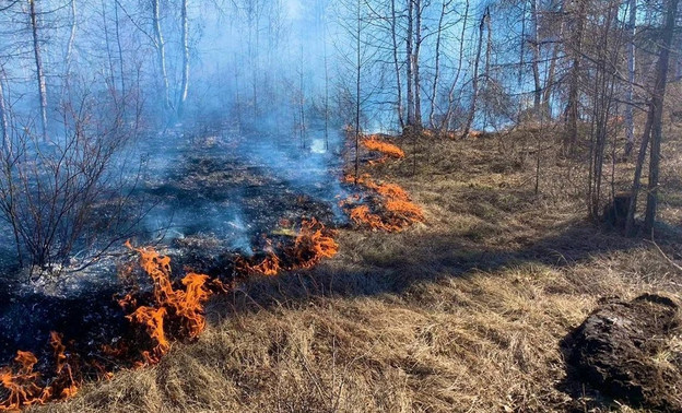 За сутки в Кировской области произошло пять лесных пожаров