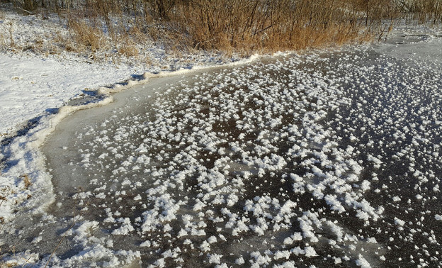 Водоемы в Кировской области покрылись ледяными цветами