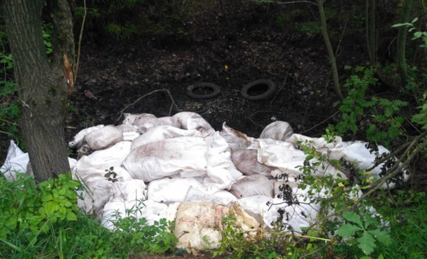 «Жители жаловались на зловонный запах»: из Ганино вывезли 100 кубометров мусора