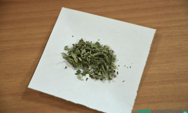 Полицейские нашли 30 пакетиков наркотика в машине кировчанки