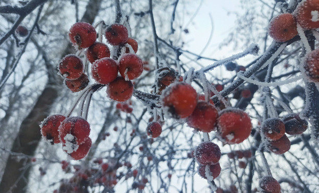 В Кировской области может похолодать до -13 градусов