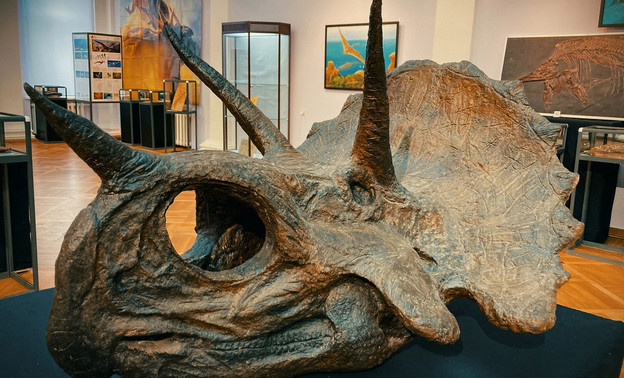 Вятский палеонтологический музей открыл выставку в Тамбове