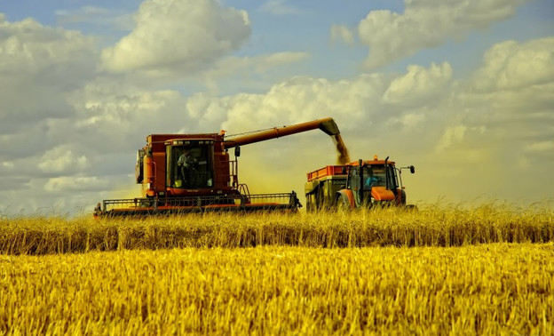 Кировские чиновники планируют поднять сельское хозяйство