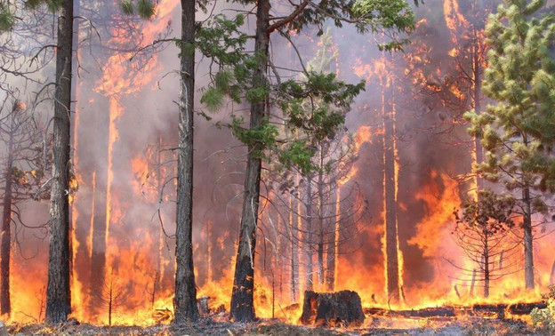 В Кировской области за прошедшие сутки дважды горел лес