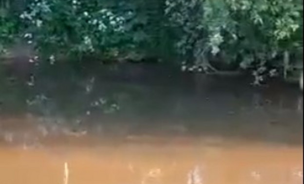 Местные жители пожаловались на загрязнение реки Коса в Унинском районе