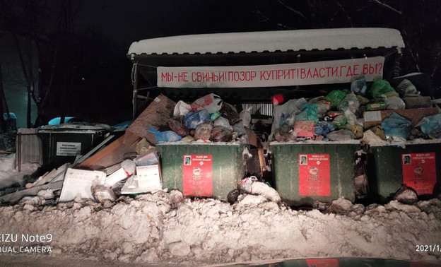 «Мы - не свиньи». Кировчане установили плакат на мусорной площадке