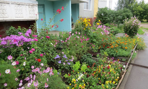 Киров должен стать "цветущим городом" до календарного лета