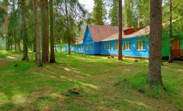 В 2023 году в лагерях Кировской области отдохнули более 50 тысяч школьников