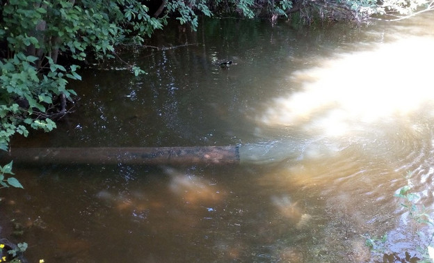 Специалисты подтвердили загрязнение реки Чахловицы в Лянгасово