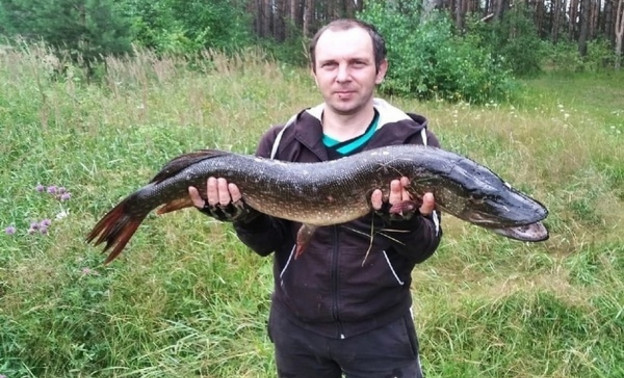 Житель Котельнича поймал в пруду огромную щуку