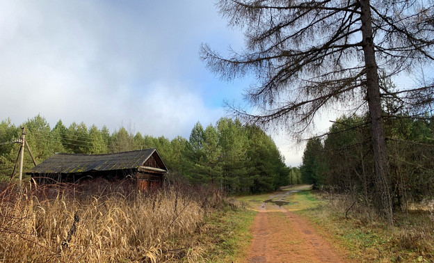 Во вторник в Кирове ожидается до -2 градусов без осадков