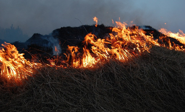 В Кировской области начался сезон горящей травы