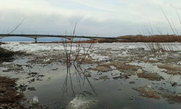 Муниципалитетам Кировской области поручили принять меры из-за потепления