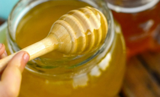 В Кировской области на 15% увеличился сбор мёда