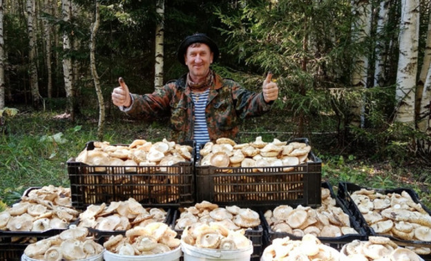 Кировский грибник собрал 320 вёдер груздей в августе