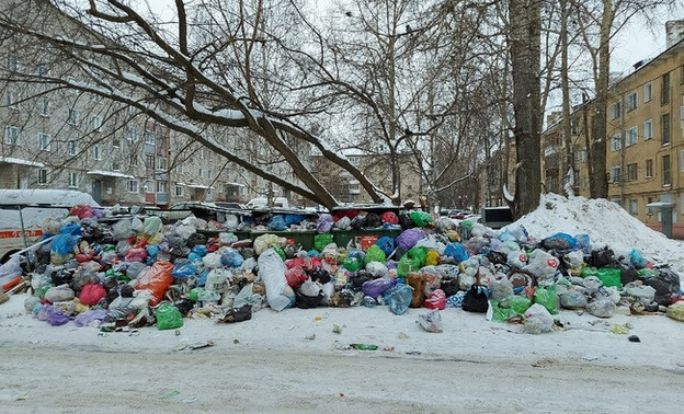 Прокуратура возбудила восемь административных дел из-за несвоевременного вывоза мусора в Кировской области