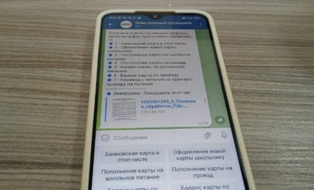 Кировчане могут жаловаться в ЦДС через Telegram