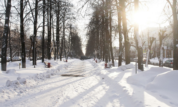 Какую погоду ждать в Кирове с 29 января по 2 февраля?