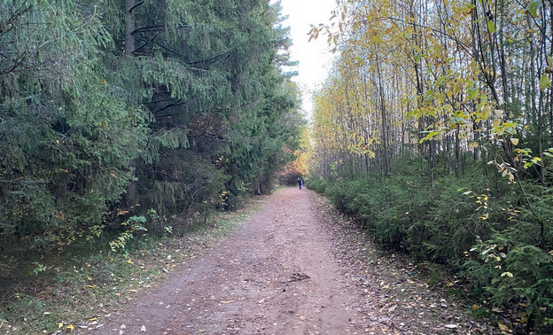 В пятницу в Кирове похолодает до -2