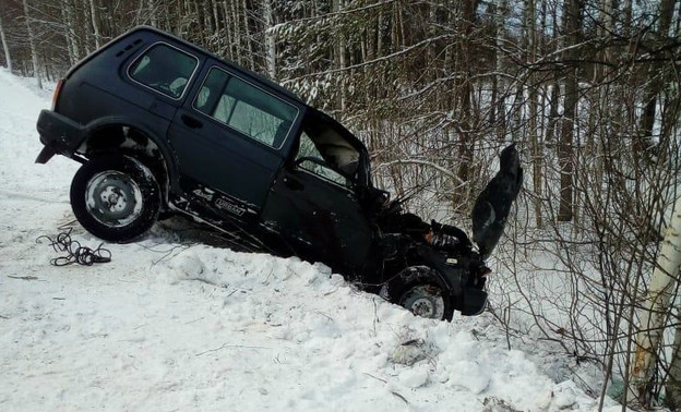 В Кировской области 36-летний мужчина погиб, врезавшись в дерево