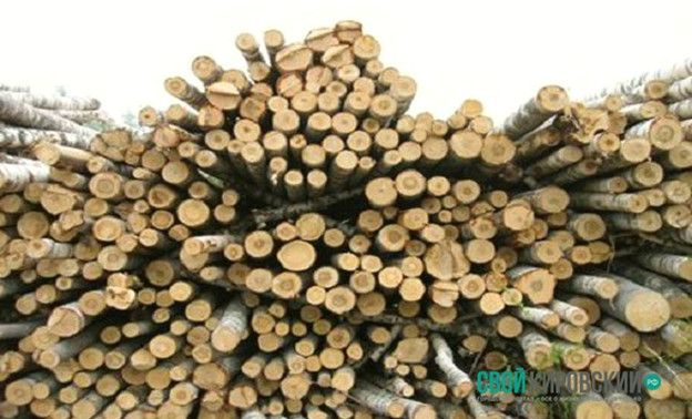 В Санчурском районе незаконно вырубили лес на миллион рублей