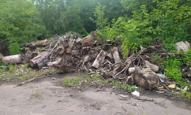 В районе переулка Южного в Кирове ликвидировали незаконную свалку