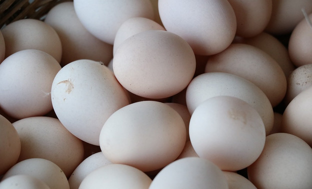 «Налетай, покупай, сальмонеллёзом заболевай»: кировчанин заставил сотрудницу магазина раздавить просроченные яйца