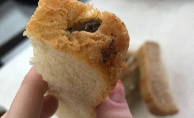 В кумёнской школе в хлебе нашли запечённого таракана