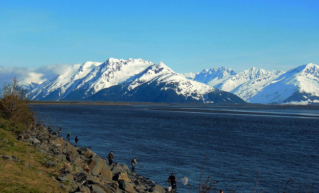 Что такое Аляскинская оспа и насколько она опасна?