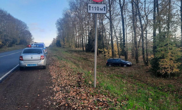 В Кирово-Чепецком районе водитель врезался в дерево