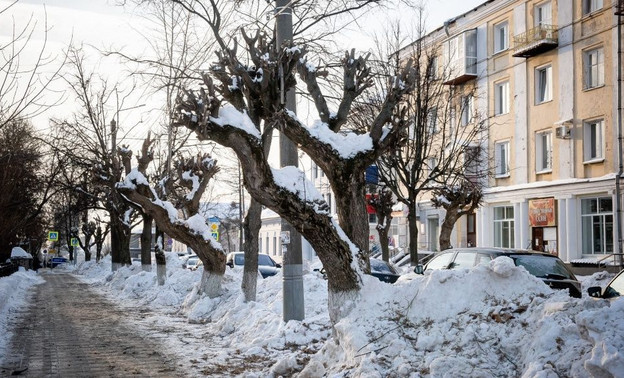 На Володарского в Кирове проведут замещающие посадки деревьев