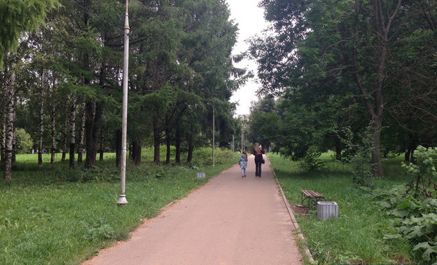 Вместо вырубленных деревьев в Кочуровском парке высадят барбарис и клёны
