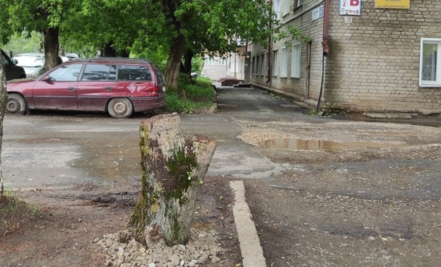 На одном из перекрёстков в Кирове посадили пень