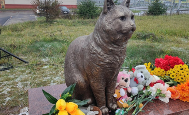 В Санкт-Петербурге открыли памятник коту, погибшему от жестокого обращения