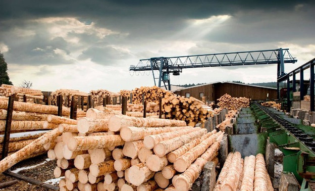 В Опаринском районе лесопромышленный комбинат задолжал работникам более 5 миллионов рублей