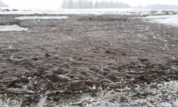 «Берега превратились в зловонное месиво»: жители Кировской области жалуются на загрязнение реки Косы