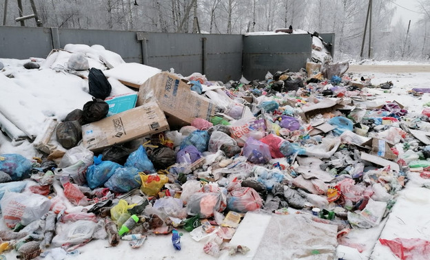 ОНФ: 30 районов Кировской области остались без контрактов по вывозу мусора на 2021 год