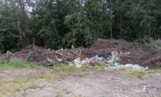 Проблемой «лесных» свалок в Кировской области займётся специальная группа
