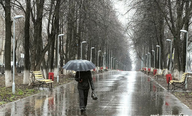 В Кирове и области объявили метеопредупреждение из-за сильного ветра и дождей