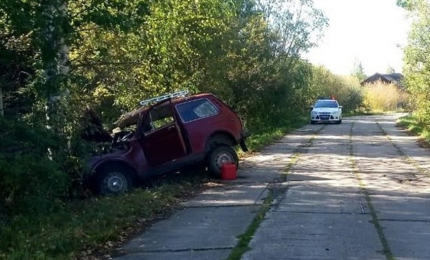 В Кировской области пьяный водитель съехал в кювет и врезался в дерево. Пострадали трое человек